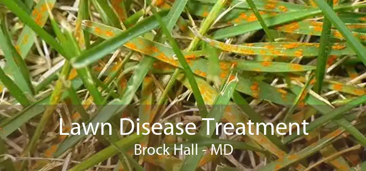 Lawn Disease Treatment Brock Hall - MD