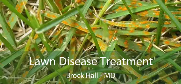 Lawn Disease Treatment Brock Hall - MD