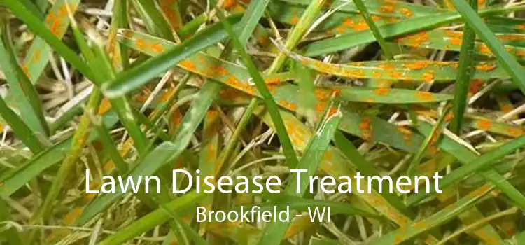 Lawn Disease Treatment Brookfield - WI