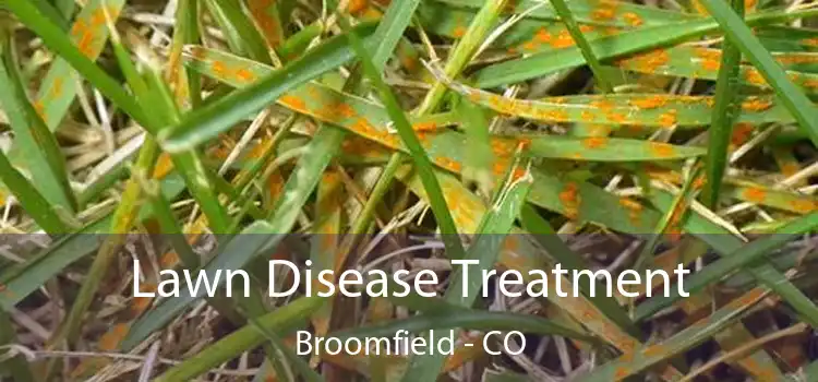  Lawn Disease Treatment Broomfield - CO