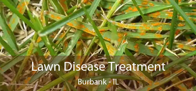 Lawn Disease Treatment Burbank - IL