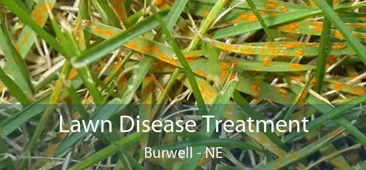 Lawn Disease Treatment Burwell - NE