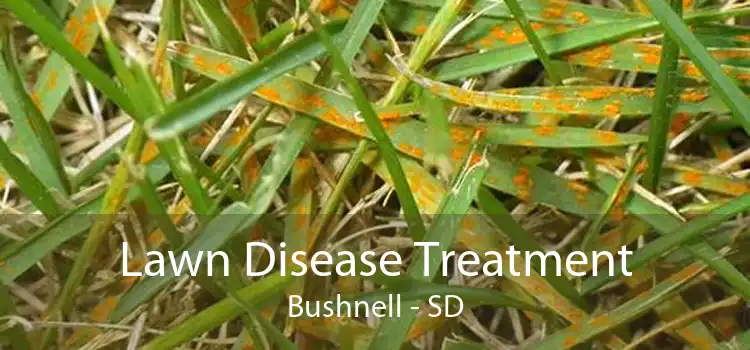 Lawn Disease Treatment Bushnell - SD