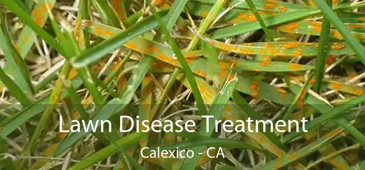 Lawn Disease Treatment Calexico - CA