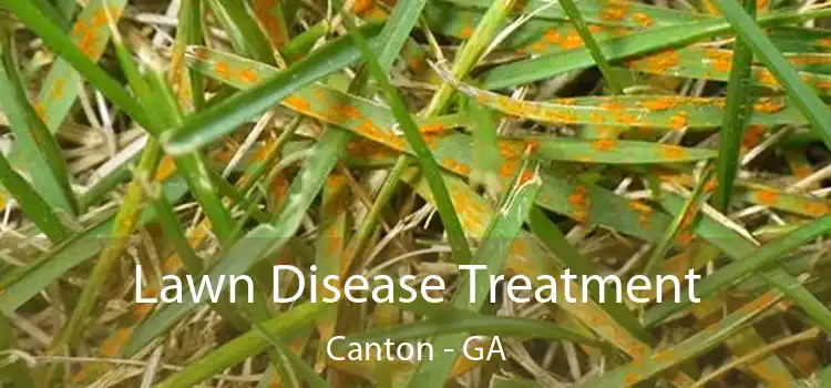 Lawn Disease Treatment Canton - GA