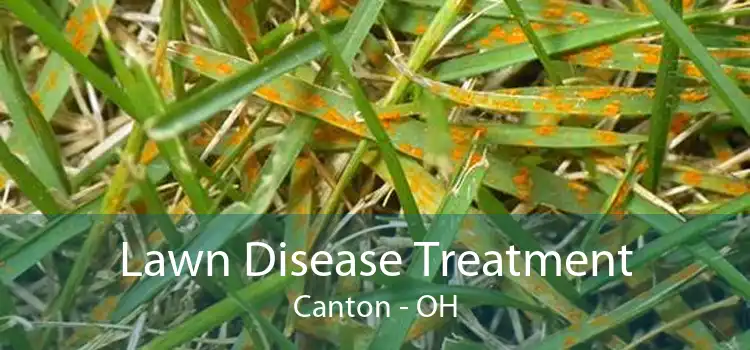 Lawn Disease Treatment Canton - OH
