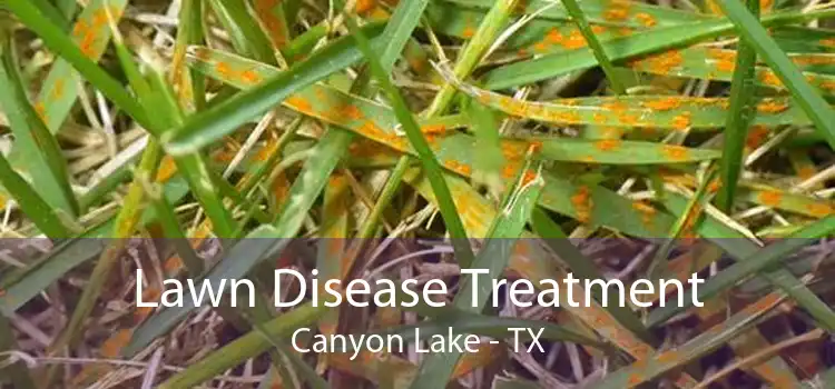 Lawn Disease Treatment Canyon Lake - TX