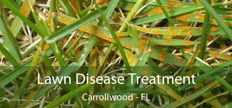 Lawn Disease Treatment Carrollwood - FL