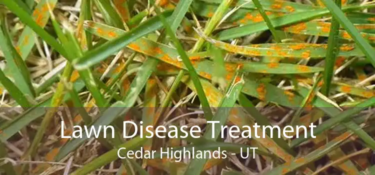 Lawn Disease Treatment Cedar Highlands - UT
