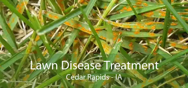 Lawn Disease Treatment Cedar Rapids - IA