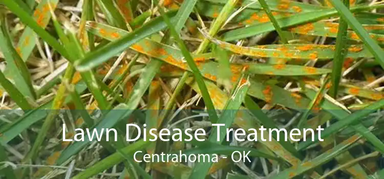 Lawn Disease Treatment Centrahoma - OK