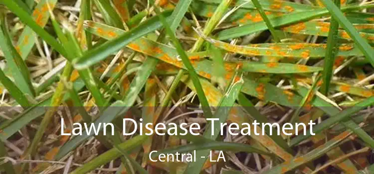 Lawn Disease Treatment Central - LA