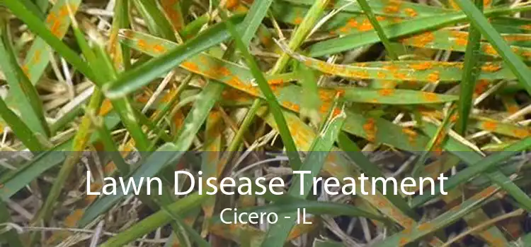 Lawn Disease Treatment Cicero - IL