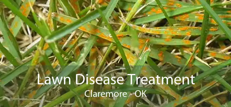 Lawn Disease Treatment Claremore - OK