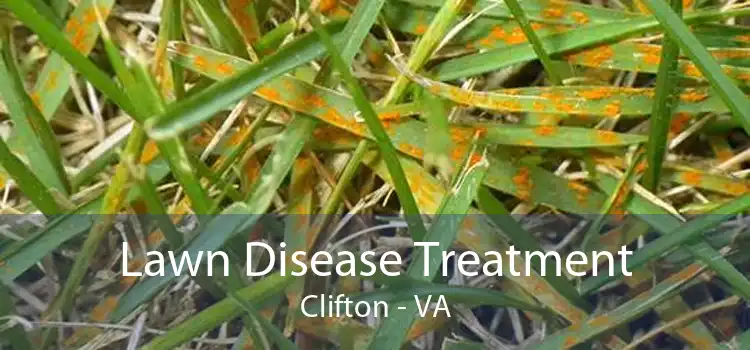 Lawn Disease Treatment Clifton - VA