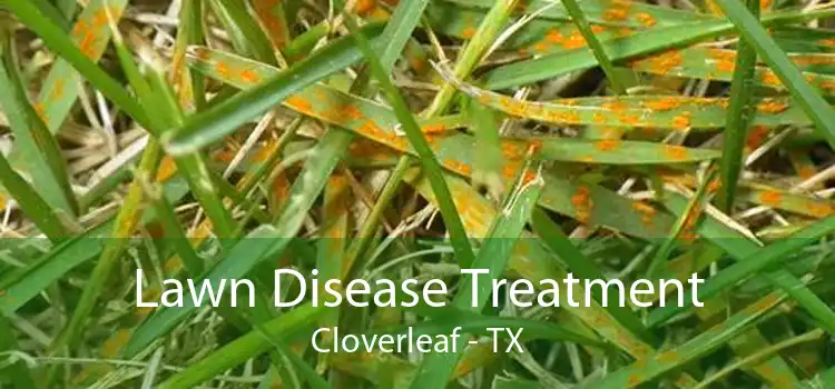 Lawn Disease Treatment Cloverleaf - TX