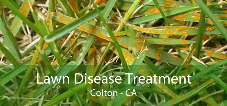 Lawn Disease Treatment Colton - CA
