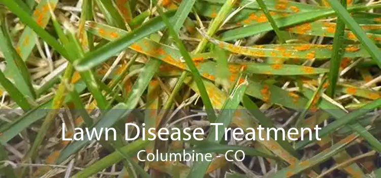 Lawn Disease Treatment Columbine - CO