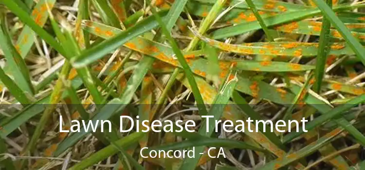  Lawn Disease Treatment Concord - CA