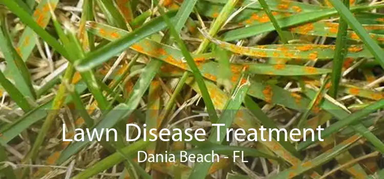Lawn Disease Treatment Dania Beach - FL
