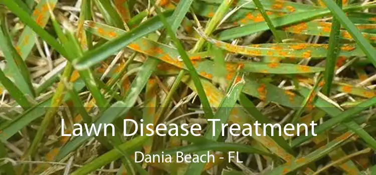 Lawn Disease Treatment Dania Beach - FL