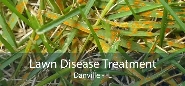 Lawn Disease Treatment Danville - IL