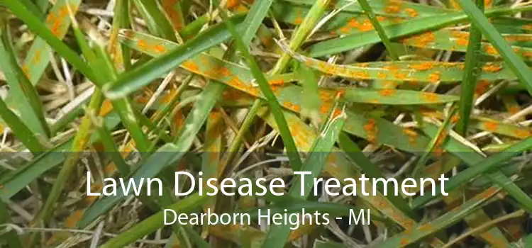 Lawn Disease Treatment Dearborn Heights - MI