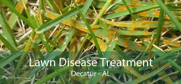 Lawn Disease Treatment Decatur - AL