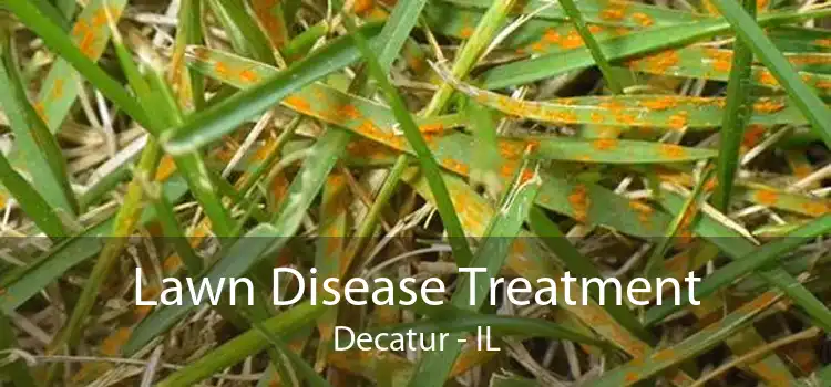 Lawn Disease Treatment Decatur - IL