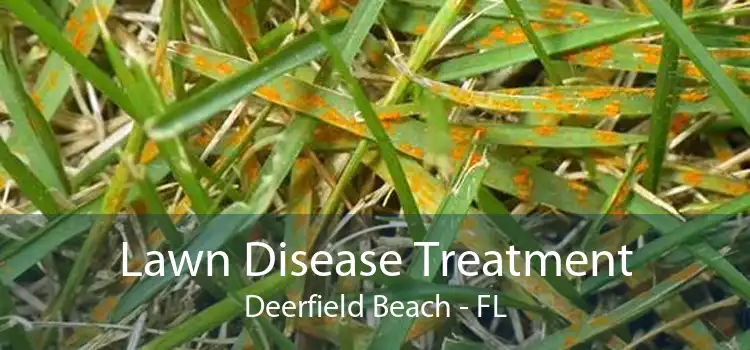 Lawn Disease Treatment Deerfield Beach - FL