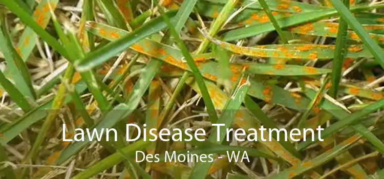 Lawn Disease Treatment Des Moines - WA