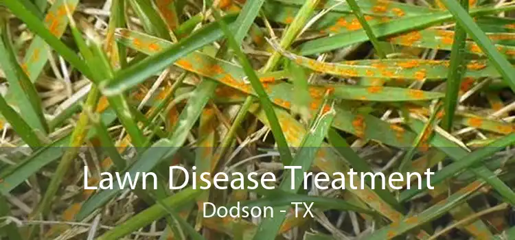  Lawn Disease Treatment Dodson - TX