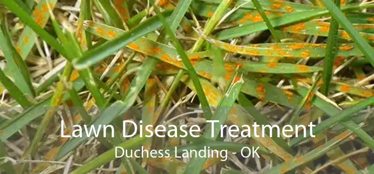 Lawn Disease Treatment Duchess Landing - OK