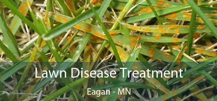 Lawn Disease Treatment Eagan - MN