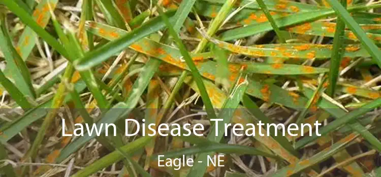 Lawn Disease Treatment Eagle - NE