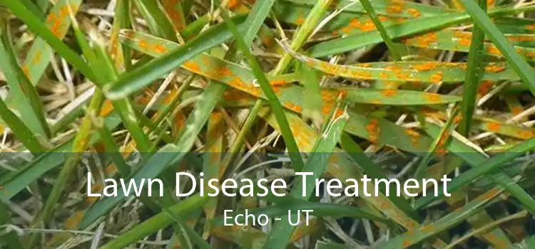 Lawn Disease Treatment Echo - UT