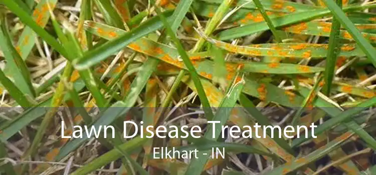 Lawn Disease Treatment Elkhart - IN