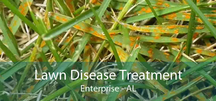 Lawn Disease Treatment Enterprise - AL
