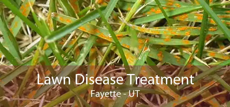 Lawn Disease Treatment Fayette - UT
