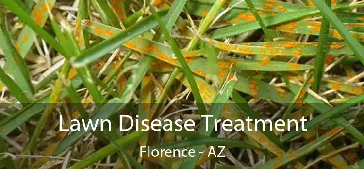 Lawn Disease Treatment Florence - AZ