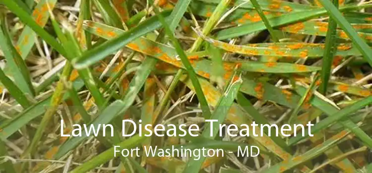 Lawn Disease Treatment Fort Washington - MD