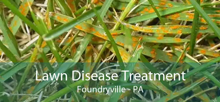 Lawn Disease Treatment Foundryville - PA