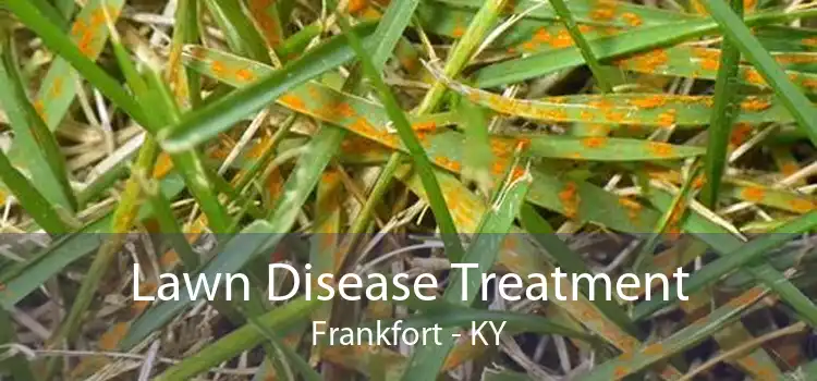 Lawn Disease Treatment Frankfort - KY