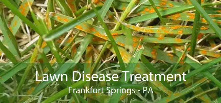 Lawn Disease Treatment Frankfort Springs - PA