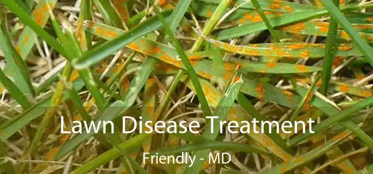 Lawn Disease Treatment Friendly - MD