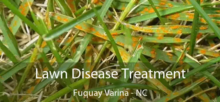 Lawn Disease Treatment Fuquay Varina - NC