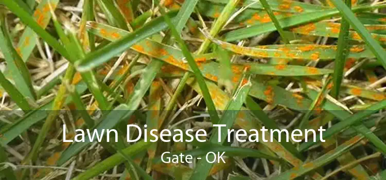 Lawn Disease Treatment Gate - OK