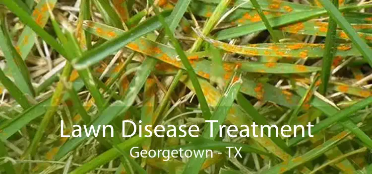 Lawn Disease Treatment Georgetown - TX