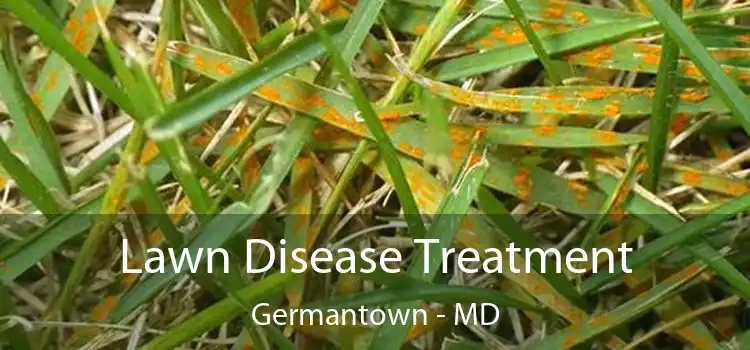 Lawn Disease Treatment Germantown - MD