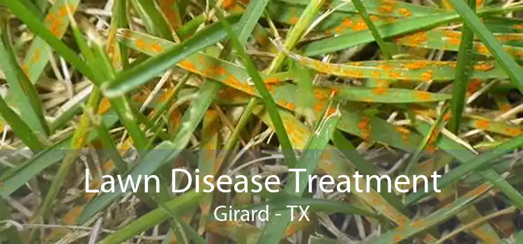Lawn Disease Treatment Girard - TX